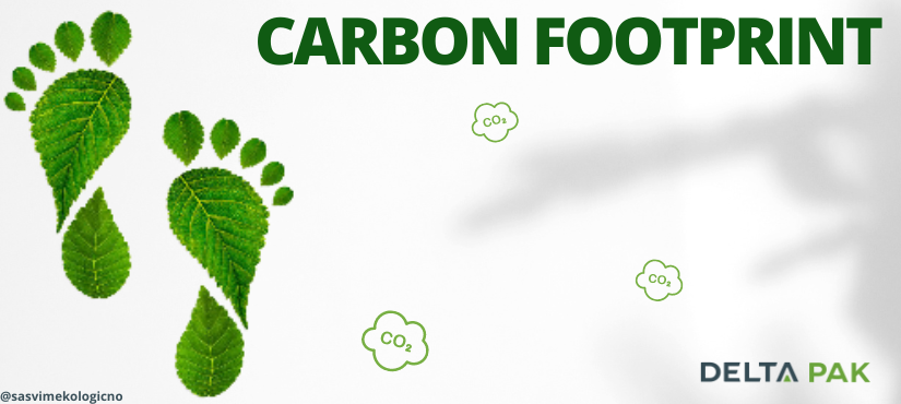 Carbon Footprint Carbon Footprint